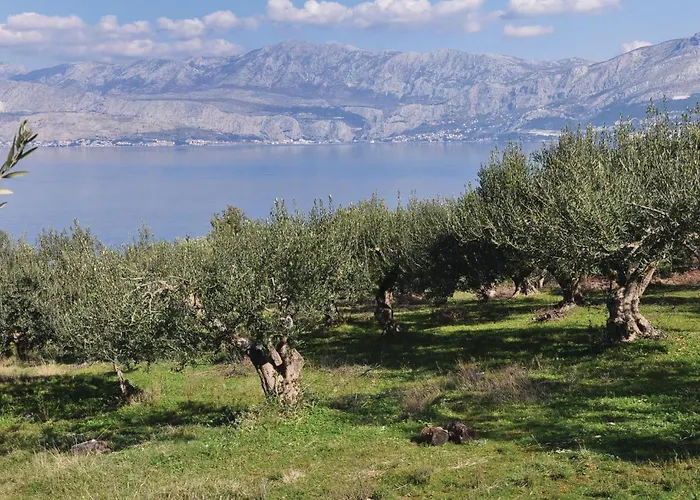 Ducac * بوستيرا