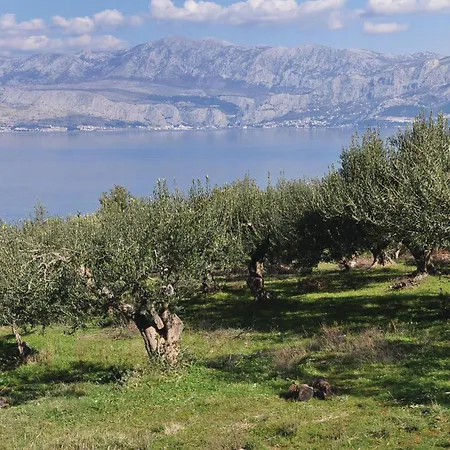 Holiday Home Ducac * Postira